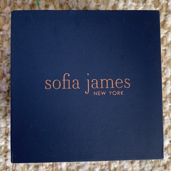 NIB Sofia James New York Fine Silver Plated Austrian Crystals Hooped Earrings - Picture 5 of 5